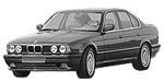 BMW E34 P10D0 Fault Code